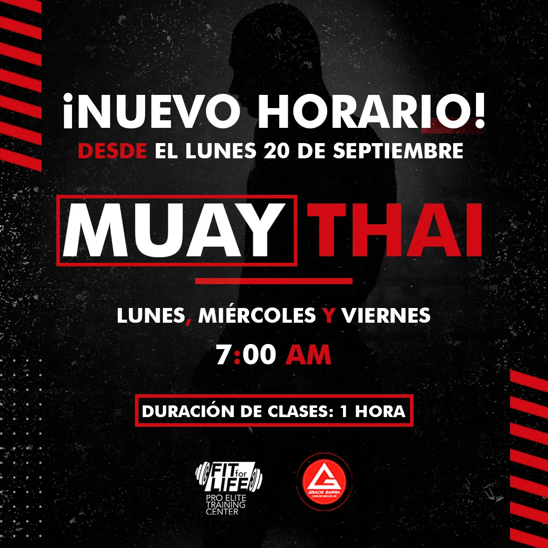 Gracie Ibarra: Marca personal